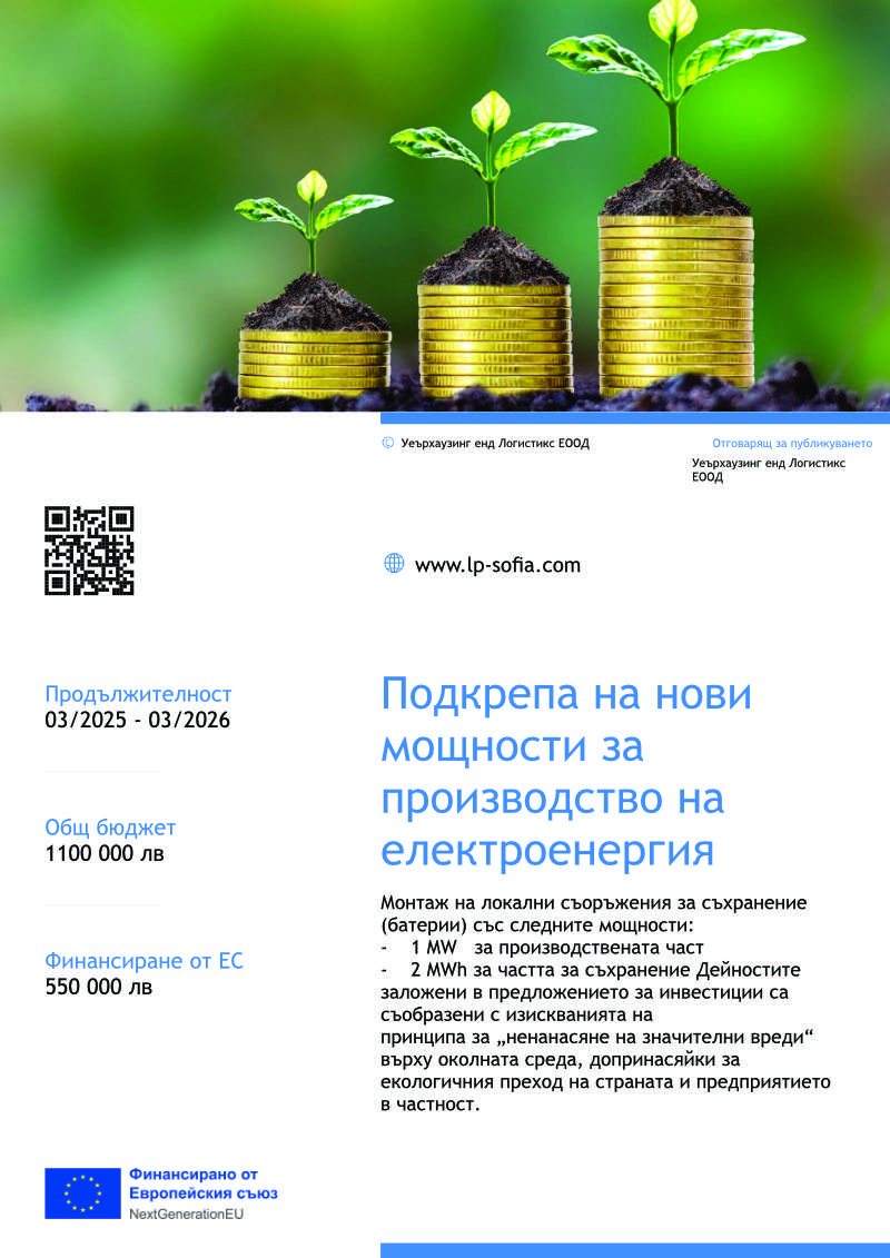 2мг